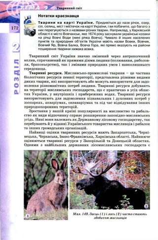 РОЗДІЛ Нотатки краєзнавця
Тв ар ин и на к арт і У к р а ї н и . Придивіться до назв річок, озер,
^ сіл, селищ, міст і містечок на карті України, і ви побачите, що багато з
них перегукуються з назвами різних тварин. Наприклад, у Харківській
області є місто Вовчанськ, яке 1674 року заснували українські козаки
на річці Вовчі Води (нині річка Вовча). Чимало й інших населених
пунктів та природних об’єктів України мають назви Вовки, Вовчик,
Вовчий Яр, Вовча Балка, Вовча Гора, які прямо вказують на райони
поширення тварини-хижака вовка.
Тваринний світ України значно змінений через антропогенний
вплив, спричинений як прямими діями людини (полювання, риболов­
ля, браконьєрство), так і змінами природних умов і навколишнього
середовища.
Тваринні ресурси. М исливсько-промислові тварини - це частина
біологічних ресурсів певної території, представлена різними видами
диких тварин, які використовують або мож уть використати для задо­
волення різноманітних потреб людини. Тваринні ресурси добувають
на території мисливських господарств, що є практично в усіх облас­
тях України, у внутріш ніх і прибережних водах. Тваринні ресурси
використовують для задоволення пізнавальних і духовних потреб у
зоопарках, акваріумах, океанаріумах та під час відвідування інших
природоохоронних територій.
Зростання у нашій країні популярності на мисливство та рибаль­
ство як види відпочинку сприяє розширенню заповідно-мисливських
угідь. Нині вони належать як Державному лісовому господарству, так
перебувають й у віданні Українського товариства мисливців і рибалок
та інших громадських організацій.
Найвищі оцінки тваринних ресурсів мають Закарпатська, Черні­
вецька, Черкаська, Івано-Франківська, Харківська області. Найнижче
оцінюються тваринні ресурси у Запорізькій та Донецькій областях.
Одними з найбільших державних лісомисливських господарств є
74
Мал. 149. Заєць (1 ) і лось (2 ) часто стають
здобиччю мисливців
 