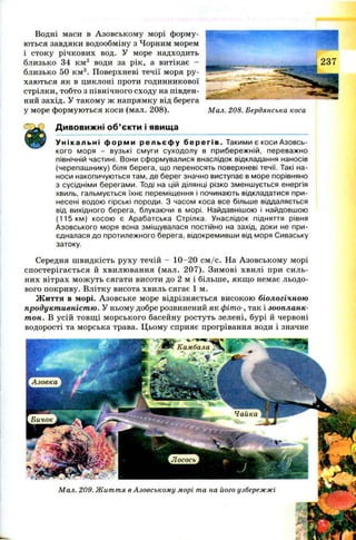 Водні маси в Азовськом у морі форму­
ються завдяки водообміну з Чорним морем
і стоку річкових вод. У море надходить
близько 34 км3 води за рік, а витікає -
близько 50 км3. Поверхневі течії моря ру­
хаються як в циклоні проти годинникової
стрілки, тобто з північного сходу на півден­
ний захід. У такому ж напрямку від берега
у море формуються коси (мал. 208).
Дивовижні об’єкти і явища
М ал. 208. Бердянська коса
У ні к аль н і ф ор м и ре ль є ф у б е р е г і в . Такими є коси Азовсь­
кого моря - вузькі смуги суходолу в прибережній, переважно
північній частині. Вони сформувалися внаслідок відкладання наносів
(черепашнику) біля берега, що переносять поверхневі течії. Такі на­
носи накопичуються там, де берег значно виступає в море порівняно
з сусідніми берегами. Тоді на цій ділянці різко зменшується енергія
хвиль, гальмується їхнє переміщення і починають відкладатися при­
несені водою гірські породи. З часом коса все більше віддаляється
від вихідного берега, блукаючи в морі. Найдавнішою і найдовшою
(115 км) косою є Арабатська Стрілка. Унаслідок підняття рівня
Азовського моря вона зміщувалася постійно на захід, доки не при­
єдналася до протилежного берега, відокремивши від моря Сиваську
затоку.
Середня ш видкість руху течій - 1 0 -2 0 см /с. На Азовському морі
спостерігається й хвилювання (мал. 207). Зимові хвилі при силь­
них вітрах мож уть сягати висоти до 2 м і більше, якщ о немає льодо­
вого покриву. Влітку висота хвиль сягає 1 м.
Життя в морі. Азовське море відрізняється високою біологічною
продуктивністю. У ньому добре розвинений як фіто-, так і зоопланк­
тон. В усій товщ і м орського басейну ростуть зелені, бурі й червоні
водорості та морська трава. Цьому сприяє прогрівання води і значне
237
Камбала
Азовка
Чайка
Бичок
Л осось
М ал. 209. Ж ит т я в А зовському морі та на його узбережжі
 
