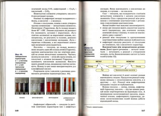 Мал.44.
Забарвлення
індикаторів:
а- у кислому
середовищі;
б- у ней­
тральному
середовищі;
в- у лужному
середовищі
лакмус
116
основний оксид CrO, амфотерний- Cr20 3 j
кислотний - Cr03•
Неметалічні елементи утворюють кислотн.і
й несолетворні оксиди.
Основні та амфотерні оксиди складаються :з
йонів, а кислотні - з молекул.
Основи є сполуками, кожна з яких утворена
трьома елементами - металічним елементом,
Оксигеном і Гідрогеном. До їх складу входять
йони мп+ і он- . Основи поділяють на розчинні
(їх називають лугами) і нерозчинні. Луги
хімічно активніші за нерозчинні основи, які ,
наприклад, не реагують із солями, деякими
кислотами і кислотними оксидами. Луги є
термічно стійкими, а всі нерозчинні основи
при нагріванні розкладаються.
Кислоти - сполуки, до складу молекул
яких входять один або кілька атомів Гідрогену ,
здатних заміщуватися під час хімічних реак­
цій на атоми металічних елементів. Частину
молекули кислоти - атом або групу атомів, які
сполучені з атомом (атомами) Гідрогену, -
називають кислотним залишком. Кислоти
мають різний склад, неоднакаву хімічну актив­
ність. Кожну із цих ознак використовують для
класифікації кислот.
Розрізняти луги і кислотИ у розчинах допо­
магають речовини-індикатори (мал. 44).
фенолфталеїн · метилоранж універсальний
індикатор
Амфотерні гідроксиди - сполуки із двоїс ­
тим хімічним характером (як і амфотерні
оксиди). Вони взаємодіють з кислотами як
основи, а з лугами -як кислоти.
Солі - сполуки, що складаються з катіонів
металічних елементів і аніонів кислотних
залишків. Сіль є продуктом реакції між речо­
виною з основними властивостями і речови­
ною з кислотними властивостями.
Запам'ятайте такі важливі закономірності:
• якщо дві сполуки мають аналогічні власти­
вості (наприклад, два основних оксиди,
основний оксид і основа), то вони не взаємо­
діють одна з одною1
;r
• реакції між сполуками із протилежними
властивостями майже завжди відбуваються;
• амфотерні сполуки реагують зі сполуками
як основного, так і кислотного характеру.
Взаємозв'язки між неорганічними речови­
нами. Деякі прості речовини - метали і неме­
тали - вступають у реакції з утворенням
оксидів, лугів, безоксигенових кислот та їхніх
солей (схема 12).
Майже всі кислотні й деякі основні оксиди
взаємодіють з водою. Продуктом реакції в пер­
шому випадку є оксигеновмісна кислота, а в
другому - луг. Реакції між амфотерними
оксидами і водою не відбуваються.
Кожна сполука- оксид, основа, амфотер­
ний гідроксид, кислота- під час певних реак­
цій може перетворитися на відповідну сіль. А
нагріванням оксигеновмісної кислоти, нероз­
чинної основи, амфотерного гідроксиду, де­
яких оксигеновмісних солей можна добути
відповідний оксид.
117
 