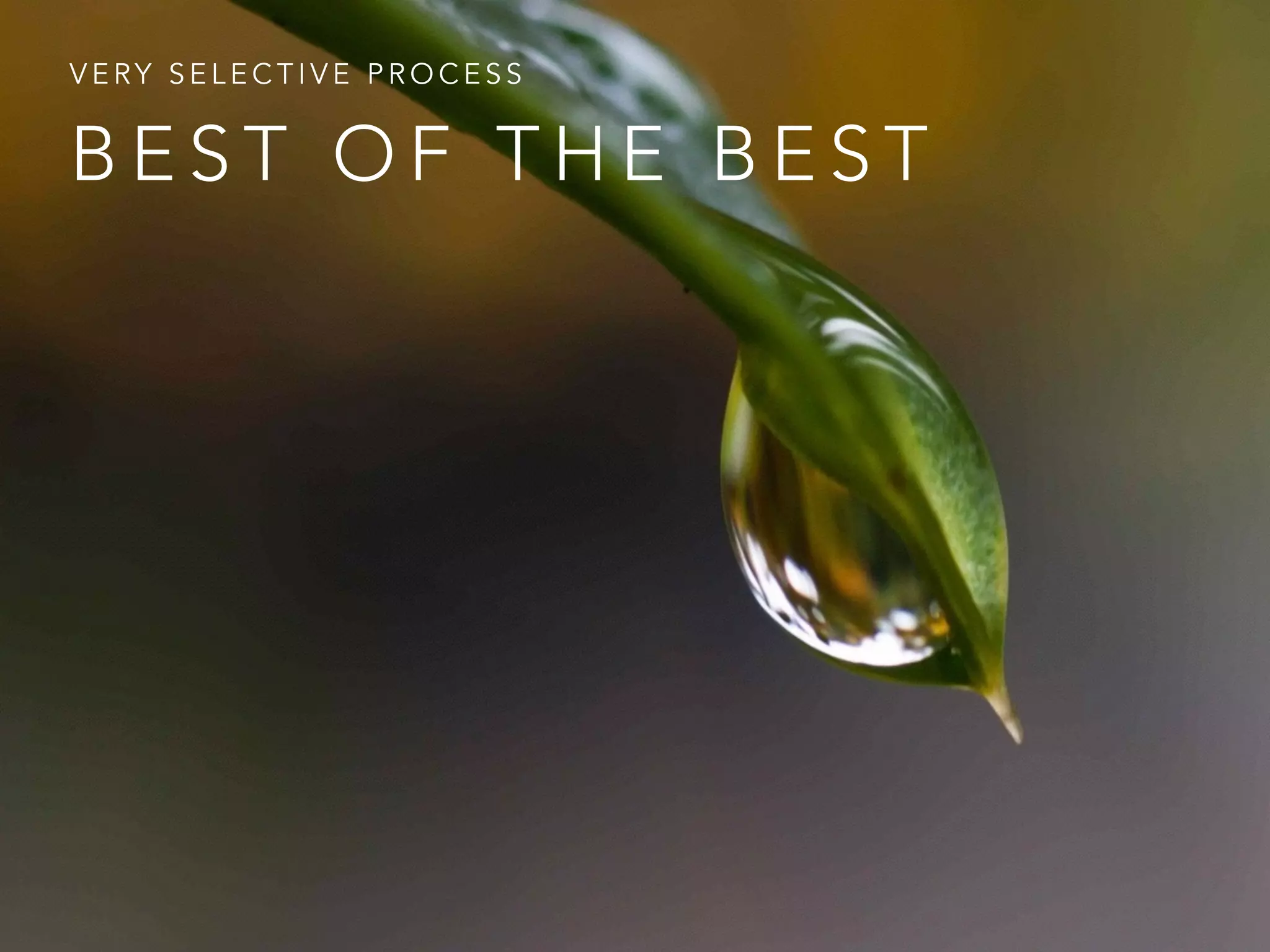 VERY SELECTIVE PROCESS 
BEST OF THE BEST 
 