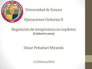 Universidadde Sonora
OperacionesUnitariasII
Regulaciónde temperaturaen zopilotes
(Cathartesaura)
Omar PeñuñuriMiranda
11/Febrero/2016
 