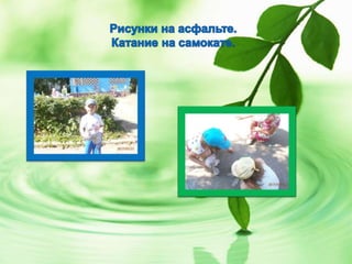 Что нам лето подарило