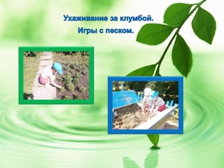 Что нам лето подарило