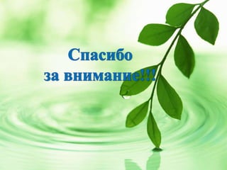 Что нам лето подарило