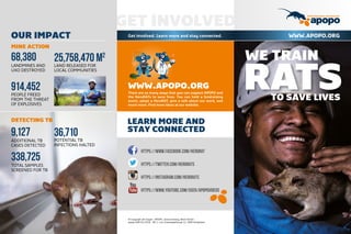 WWW.APOPO.ORG
There are so many ways that you can support APOPO and
the HeroRATs to save lives. You can hold a fundraising
event, adopt a HeroRAT, give a talk about our work, and
much more. Find more ideas at our website.
GET INVOLVED
Get involved. Learn more and stay connected.
LEARN MORE AND
STAY CONNECTED
https://www.facebook.com/heroRAT
https://twitter.com/HeroRATs
https://instagram.com/herorats
https://www.youtube.com/user/apopovideos
WE TRAIN
TO SAVE LIVES
RATS
WWW.APOPO.ORG
© Copyright all images - APOPO, James Oatway, Brent Stirton
apopo-008-01/2016 - RE: C. Cox, Gratiekapelstraat 12, 2000 Antwerpen
OUR IMPACT
MINE ACTION
DETECTING TB
LANDMINES AND
UXO DESTROYED
ADDITIONAL TB
CASES DETECTED
TOTAL SAMPLES
SCREENED FOR TB
LAND RELEASED FOR
LOCAL COMMUNITIES
PEOPLE FREED
FROM THE THREAT
OF EXPLOSIVES
POTENTIAL TB
INFECTIONS HALTED
68,380
9,127
338,725
25,758,470 m2
914,452
36,710
 