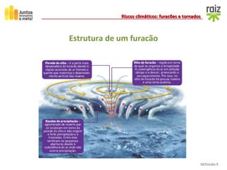 GEOvisão 9
Riscos climáticos: furacões e tornadosRiscos climáticos: furacões e tornados
Estrutura de um furacão
 