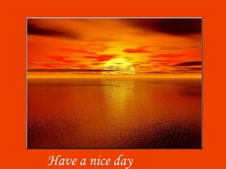 Have a nice day 