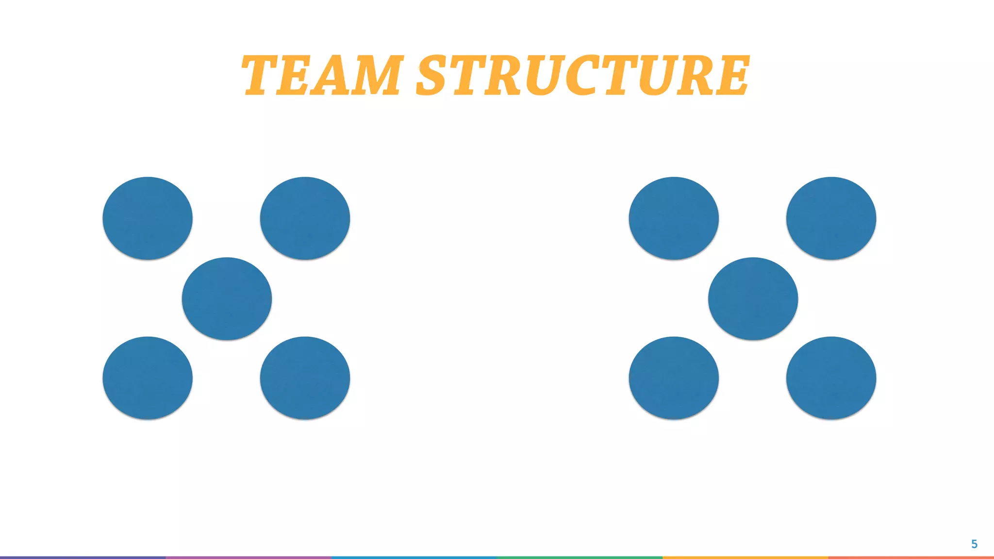 5
TEAM STRUCTURE
 