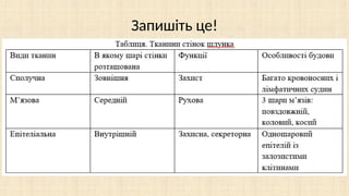 Запишіть це!
 