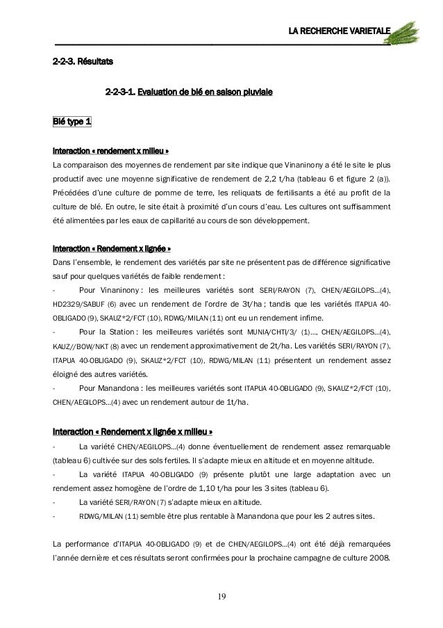 RApport de recherche 2007OKdév