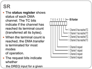 SR
 The status register shows
  status of each DMA
  channel. The TC bits
  indicate if the channel has
  reached its terminal count
  (transferred all its bytes).
 When the terminal count is
  reached, the DMA transfer
  is terminated for most
  modes
  of operation.
 The request bits indicate
  whether
20
     the DREQ input for a given
 