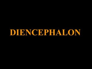 DIENCEPHALON 