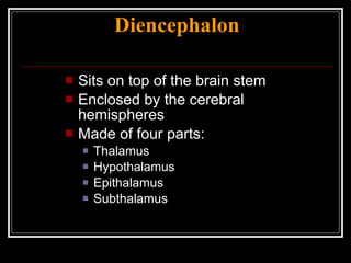 Diencephalon Sits on top of the brain stem Enclosed by the cerebral hemispheres Made of four parts: Thalamus Hypothalamus Epithalamus Subthalamus 
