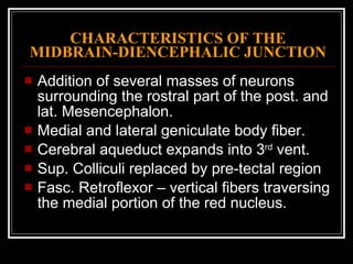 CHARACTERISTICS OF THE MIDBRAIN-DIENCEPHALIC JUNCTION Addition of several masses of neurons surrounding the rostral part of the post. and lat. Mesencephalon. Medial and lateral geniculate body fiber. Cerebral aqueduct expands into 3 rd  vent. Sup. Colliculi replaced by pre-tectal region Fasc. Retroflexor – vertical fibers traversing the medial portion of the red nucleus. 