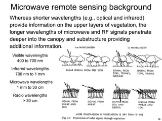 16
Microwave remote sensing background
Whereas shorter wavelengths (e.g., optical and infrared)
provide information on the upper layers of vegetation, the
longer wavelengths of microwave and RF signals penetrate
deeper into the canopy and substructure providing
additional information.
Visible wavelengths
400 to 700 nm
Infrared wavelengths
700 nm to 1 mm
Microwave wavelengths
1 mm to 30 cm
Radio wavelengths
> 30 cm
 