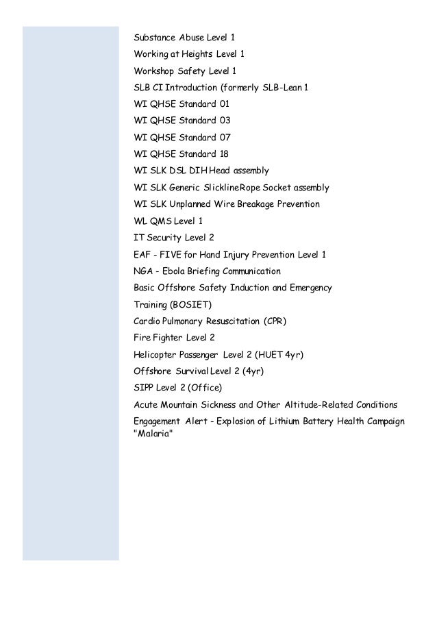 anwar cv slb format wi format