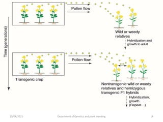 Genetic pollution | PPTX