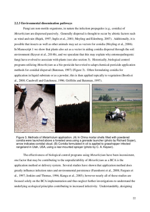 Phd thesis on pesticides