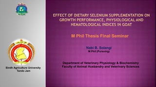 M Phil Thesis Final Seminar
Department of Veterinary Physiology & Biochemistry
Faculty of Animal Husbandry and Veterinary Sciences
Nabi B. Solangi
M Phil (Pursuing)
Sindh Agriculture University
Tando Jam
 