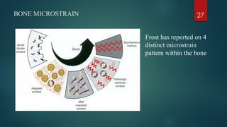 Microstrain Structure 826869392-LOADING-PROTOCOLS-IN-IMPLANTS-ppt (1).pptx