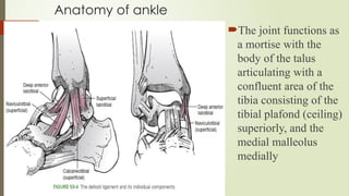Tibia Ceiling 81111111127247158-Ankle-Dislocation.pptx