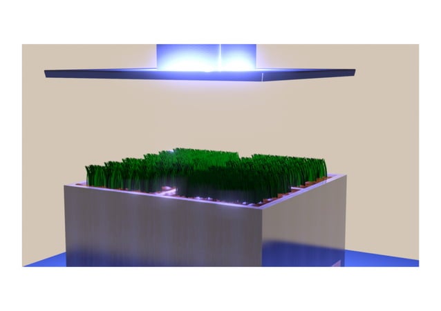 Inventor Final Project | PDF | Gardening | Home & Garden