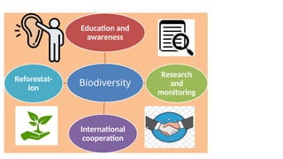Biodiversity
Education and
awareness
Research
and
monitoring
International
cooperation
Reforestat-
ion
 