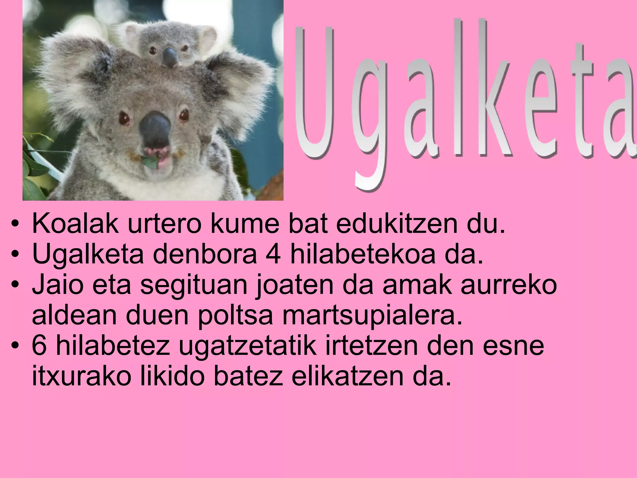 Koalak urtero kume bat edukitzen du. Ugalketa denbora 4 hilabetekoa da. Jaio eta segituan joaten da amak aurreko aldean duen poltsa martsupialera. 6 hilabetez ugatzetatik irtetzen den esne itxurako likido batez elikatzen da. 