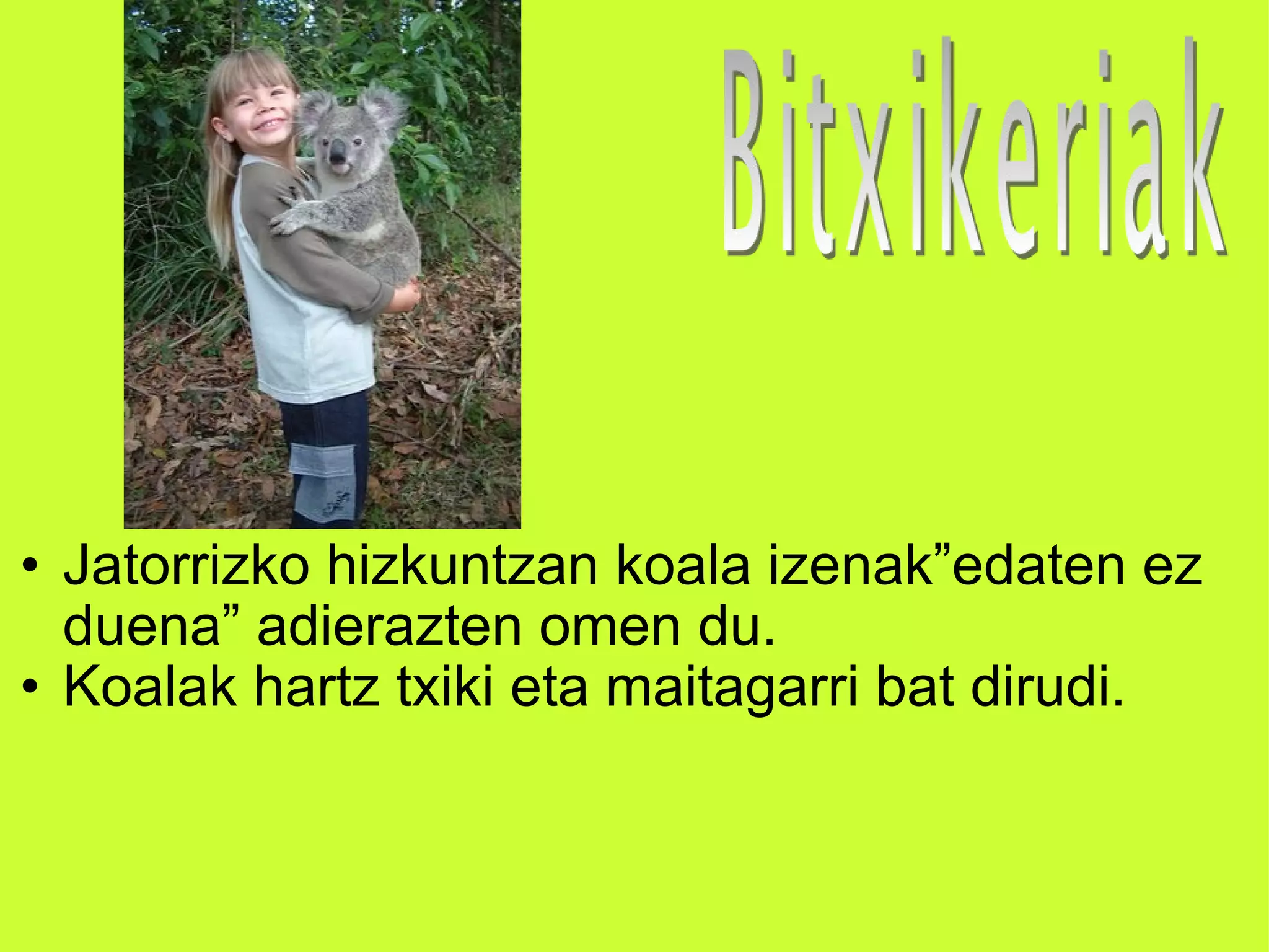 Jatorrizko hizkuntzan koala izenak”edaten ez duena” adierazten omen du. Koalak hartz txiki eta maitagarri bat dirudi. 