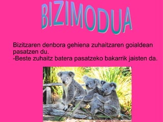 Bizitzaren denbora gehiena zuhaitzaren goialdean pasatzen du. -Beste zuhaitz batera pasatzeko bakarrik jaisten da. 