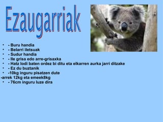 - Buru handia - Belarri iletsuak - Sudur handia - Ile grisa edo arre-grisaxka - Hatz lodi baten ordez bi ditu eta elkarren aurka jarri ditzake - Ez du buztanik -10kg inguru pisatzen dute -arrek 12kg eta emeek8kg - 76cm inguru luze dira 