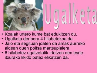 Koalak urtero kume bat edukitzen du. Ugalketa denbora 4 hilabetekoa da. Jaio eta segituan joaten da amak aurreko aldean duen poltsa martsupialera. 6 hilabetez ugatzetatik irtetzen den esne itxurako likido batez elikatzen da. 