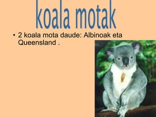 2 koala mota daude: Albinoak eta Queensland . 