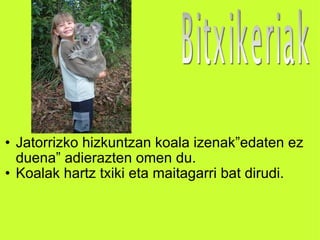 Jatorrizko hizkuntzan koala izenak”edaten ez duena” adierazten omen du. Koalak hartz txiki eta maitagarri bat dirudi. 