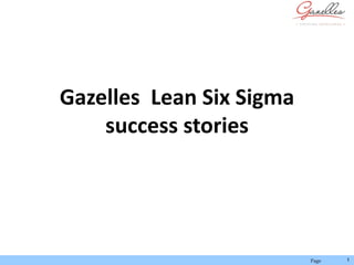 Page 1
Gazelles Lean Six Sigma
success stories
 