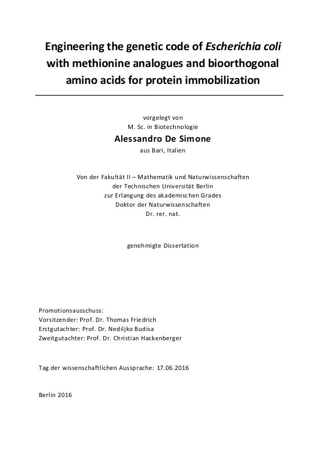Dissertation zweitgutachter