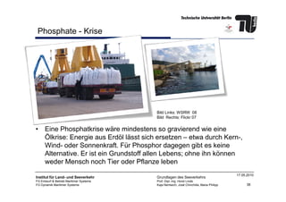 Phosphate - Krise
38
Institut für Land- und Seeverkehr
FG Entwurf & Betrieb Maritimer Systeme
FG Dynamik Maritimer Systeme
Grundlagen des Seeverkehrs
Prof. Dipl.-Ing. Horst Linde
Kaja Nentwich, José Chinchilla, Maria Philipp
17.05.2010
• Eine Phosphatkrise wäre mindestens so gravierend wie eine
Ölkrise: Energie aus Erdöl lässt sich ersetzen – etwa durch Kern-,
Wind- oder Sonnenkraft. Für Phosphor dagegen gibt es keine
Alternative. Er ist ein Grundstoff allen Lebens; ohne ihn können
weder Mensch noch Tier oder Pflanze leben
Bild Links: WSRW 08
Bild Rechts: Flickr 07
 