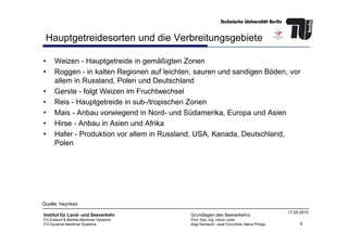 Hauptgetreidesorten und die Verbreitungsgebiete
• Weizen - Hauptgetreide in gemäßigten Zonen
• Roggen - in kalten Regionen auf leichten, sauren und sandigen Böden, vor
allem in Russland, Polen und Deutschland
• Gerste - folgt Weizen im Fruchtwechsel
• Reis - Hauptgetreide in sub-/tropischen Zonen
• Mais - Anbau vorwiegend in Nord- und Südamerika, Europa und Asien
• Hirse - Anbau in Asien und Afrika
5
Institut für Land- und Seeverkehr
FG Entwurf & Betrieb Maritimer Systeme
FG Dynamik Maritimer Systeme
Grundlagen des Seeverkehrs
Prof. Dipl.-Ing. Horst Linde
Kaja Nentwich, José Chinchilla, Maria Philipp
17.05.2010
• Hirse - Anbau in Asien und Afrika
• Hafer - Produktion vor allem in Russland, USA, Kanada, Deutschland,
Polen
Quelle: heynkes
 