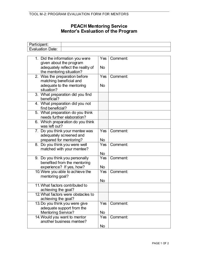 peach-mentorshipprogramcomplete