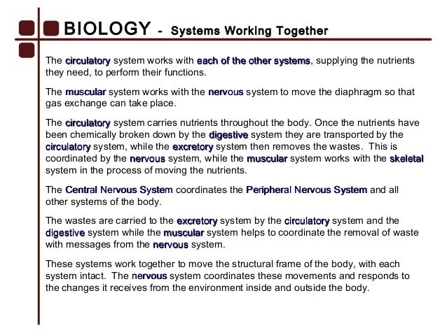 82 biology digestive system works with what other systems