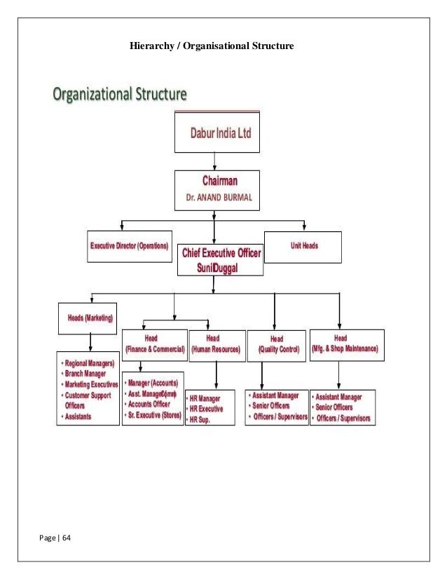 Organizational structure pdf image