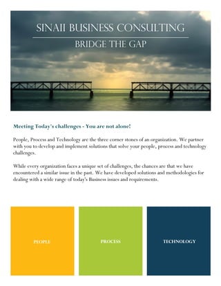 BRIDGE THE GAP
Meeting Today's challenges - You are not alone!
People, Process and Technology are the three corner stones of an organization. We partner
with you to develop and implement solutions that solve your people, process and technology
challenges.
While every organization faces a unique set of challenges, the chances are that we have
encountered a similar issue in the past. We have developed solutions and methodologies for
dealing with a wide range of today's Business issues and requirements.
SINAII BUSINESS CONSULTING
PEOPLE PROCESS TECHNOLOGY
 