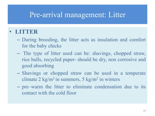 Pre-arrival management: Litter
• LITTER
– During brooding, the litter acts as insulation and comfort
for the baby chicks
– The type of litter used can be: shavings, chopped straw,
rice hulls, recycled paper- should be dry, non corrosive and
good absorbing
– Shavings or chopped straw can be used in a temperate
climate 2 kg/m2 in summers, 5 kg/m2 in winters
– pre–warm the litter to eliminate condensation due to its
contact with the cold floor
10
 