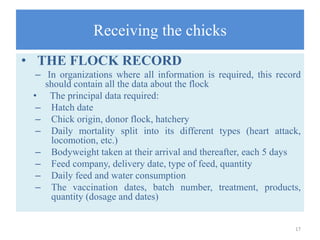 Receiving the chicks
• THE FLOCK RECORD
– In organizations where all information is required, this record
should contain all the data about the flock
• The principal data required:
– Hatch date
– Chick origin, donor flock, hatchery
– Daily mortality split into its different types (heart attack,
locomotion, etc.)
– Bodyweight taken at their arrival and thereafter, each 5 days
– Feed company, delivery date, type of feed, quantity
– Daily feed and water consumption
– The vaccination dates, batch number, treatment, products,
quantity (dosage and dates)
17
 