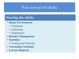 Post Arrival of Chicks
Starting the chicks
• House Environment
• Ventilation
• Lightening
• Temperature
• Brooder Management
• Nutrition
• Feeding and Watering
• Vaccination Schedule
• Carcass Disposal
18
 