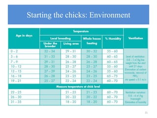 Starting the chicks: Environment
21
 