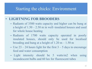 Starting the chicks: Environment
• LIGHTNING FOR BROODERS
– Radiants of 3500 watts capacity and higher can be hung at
a height of 1.50 – 2.50 m in well–insulated houses and used
for whole house heating
– Radiants of 1700 watts capacity operated in poorly
insulated houses, should only be used for localised
brooding and hung at a height of 1.20 m – 1.50 m
– Use 23 – 24 hours light for the first 3 – 5 days to encourage
feed and water consumption
– Light intensity should be 5 watts/m2 when using
incandescent bulbs and 60 lux for fluorescent tubes
22
 