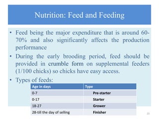 Nutrition: Feed and Feeding
• Feed being the major expenditure that is around 60-
70% and also significantly affects the production
performance
• During the early brooding period, feed should be
provided in crumble form on supplemental feeders
(1/100 chicks) so chicks have easy access.
• Types of feeds:
23
Age in days Type
0-7 Pre-starter
0-17 Starter
18-27 Grower
28-till the day of selling Finisher
 