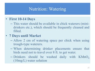 Nutrition: Watering
• First 10-14 Days
– This water should be available in chick waterers (mini-
drinkers etc.), which should be frequently cleaned and
filled.
• 7 Days until Market
– Allow 2 cm of watering space per chick when using
trough-type waterers.
– When determining drinker placements ensure that
birds need not to travel over 8 ft. to get water.
– Drinkers should be washed daily with KMnO4
(10mg/L) water solution
27
 