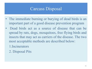 Carcass Disposal
• The immediate burning or burying of dead birds is an
important part of a good disease prevention program
• Dead birds act as a source of disease that can be
spread by rats, dogs, mosquitoes, free flying birds and
insects that may act as carriers of the disease. The two
most acceptable methods are described below:
1.Incinerators
2. Disposal Pits
31
 